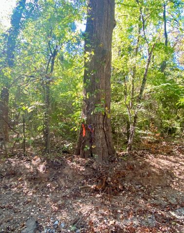 TBD County Road 2615, Bonham, TX 75418