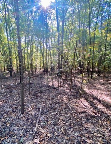 TBD County Road 2615, Bonham, TX 75418