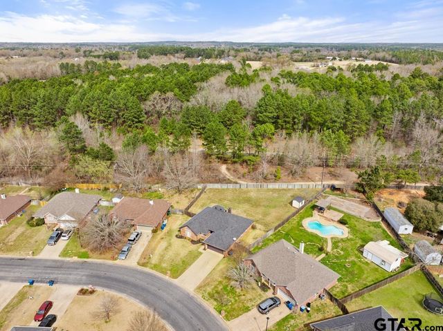 1721 Sapphire Cay, Whitehouse, TX 75791