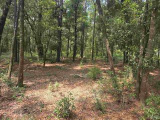 0000 Mcinnis St, Milton, FL 32583
