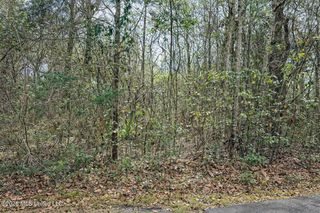 Live Oak Avenue, Ocean Springs, MS 39564