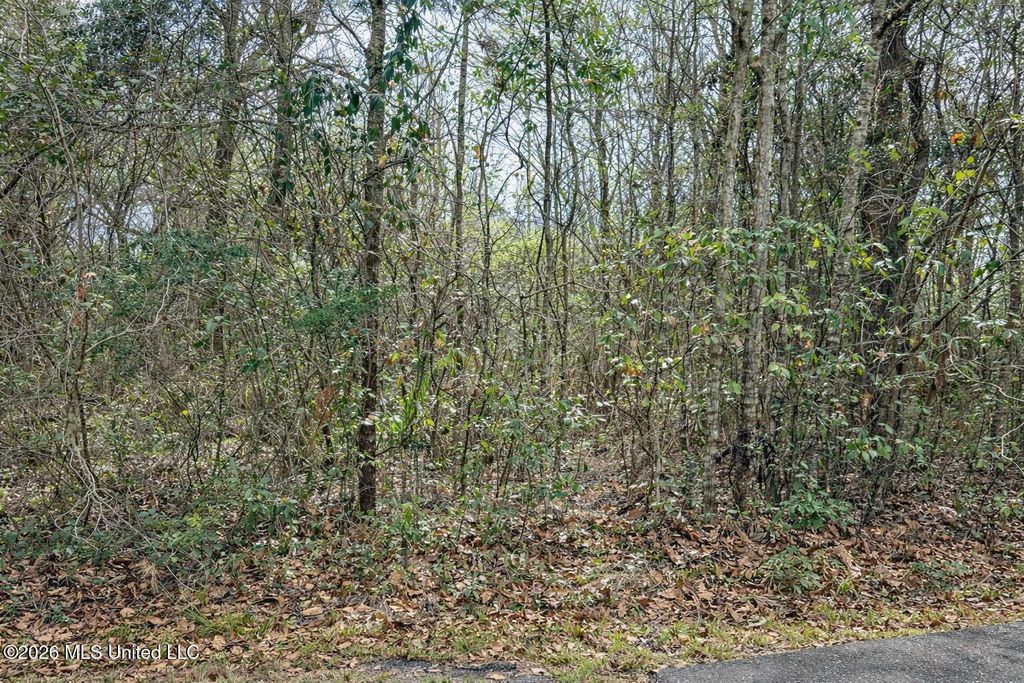 Live Oak Avenue, Ocean Springs, MS 39564