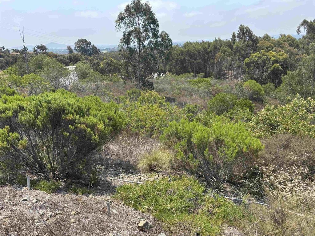 0 Lone Hill, Encinitas, CA 92024