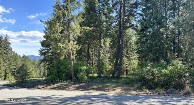 NAA S Whitetail Crossing Ct, Coeur D'alene, ID 83814