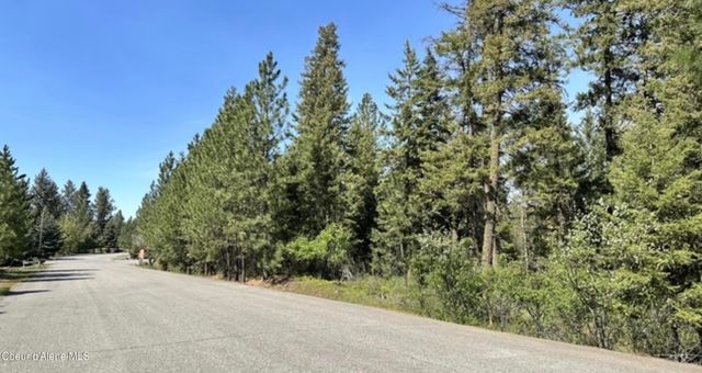 NAA S Whitetail Crossing Ct, Coeur D'alene, ID 83814