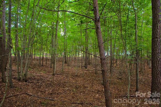 0 Creekside Circle 110, Rutherfordton, NC 28139
