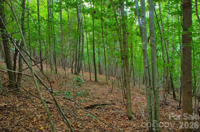 0 Creekside Circle 110, Rutherfordton, NC 28139