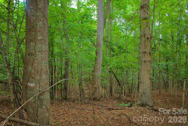 0 Creekside Circle 110, Rutherfordton, NC 28139