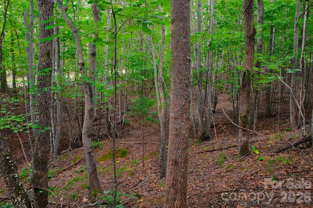 0 Creekside Circle 110, Rutherfordton, NC 28139