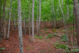 0 Creekside Circle 110, Rutherfordton, NC 28139