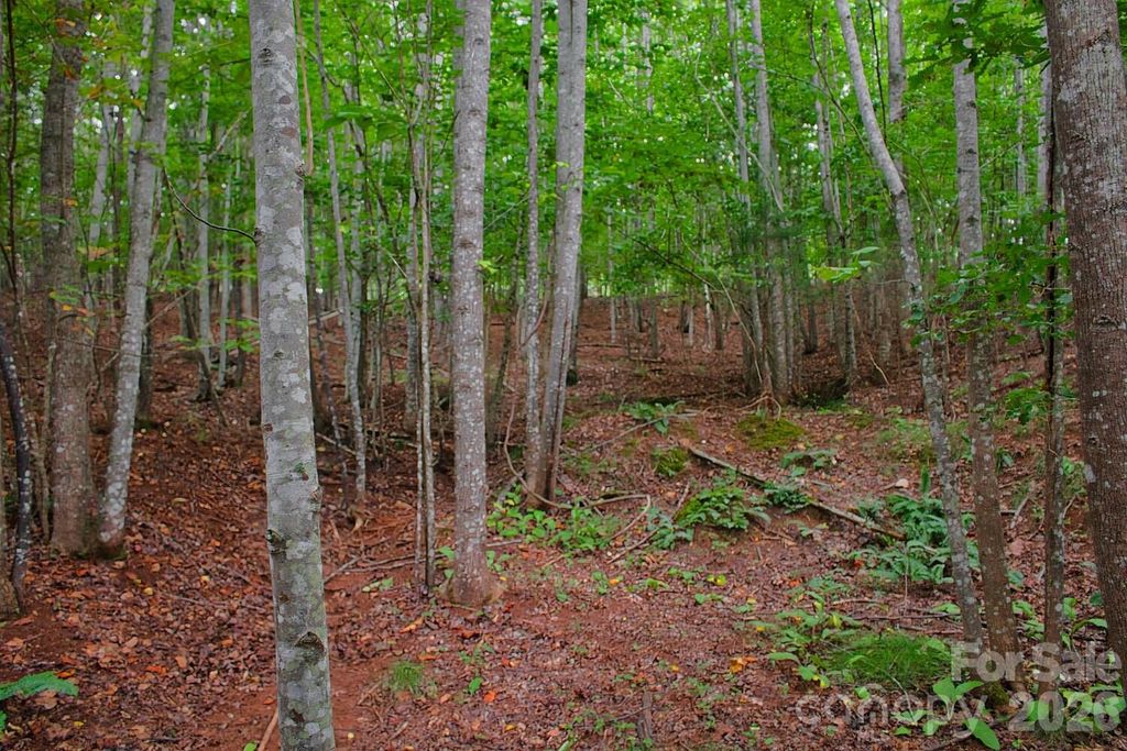 0 Creekside Circle 110, Rutherfordton, NC 28139