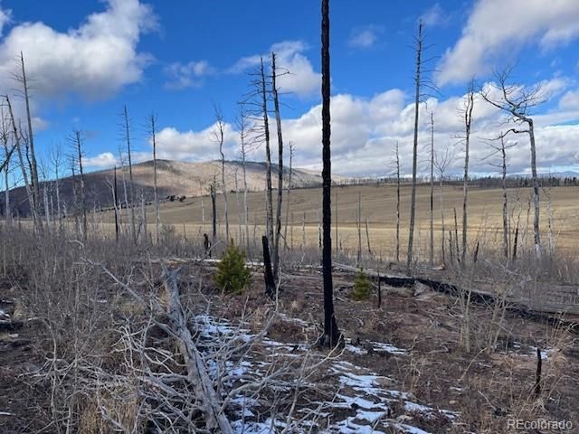 2397 Petito Dr, Fort Garland, CO 81133