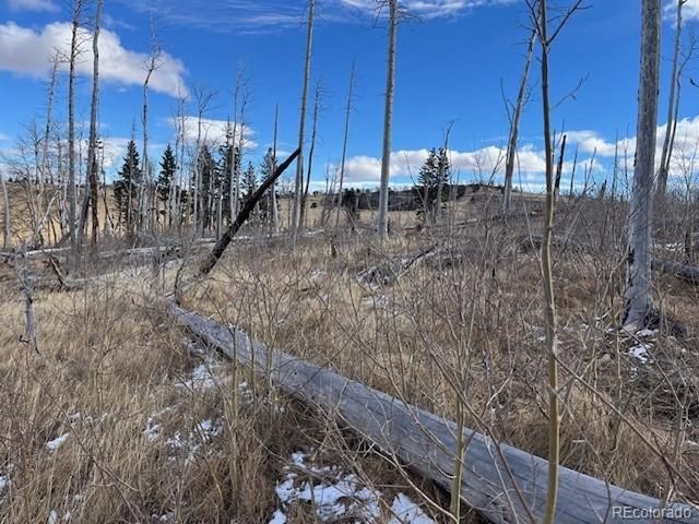 2397 Petito Dr, Fort Garland, CO 81133