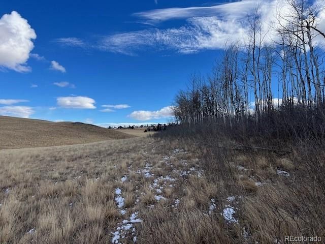 2397 Petito Dr, Fort Garland, CO 81133