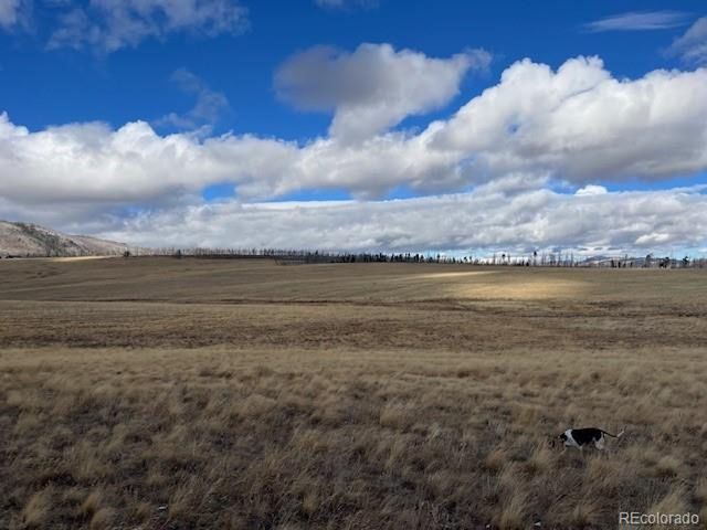 2397 Petito Dr, Fort Garland, CO 81133
