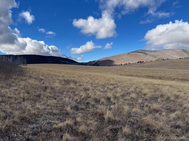 2397 Petito Dr, Fort Garland, CO 81133