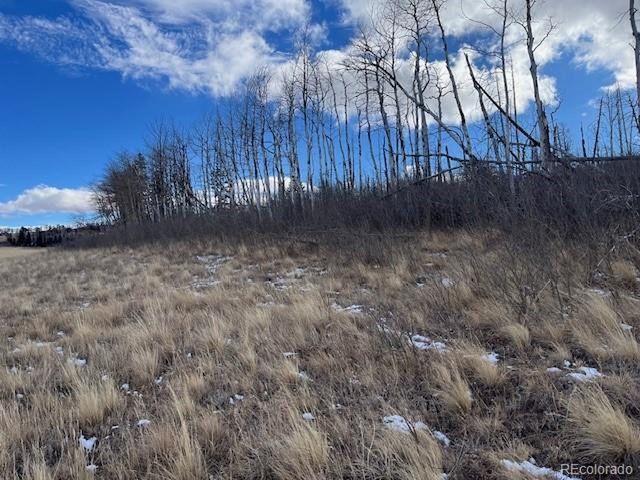 2397 Petito Dr, Fort Garland, CO 81133