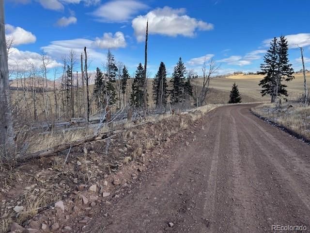 2397 Petito Dr, Fort Garland, CO 81133