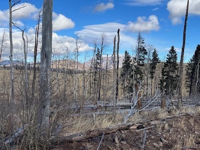 2397 Petito Dr, Fort Garland, CO 81133