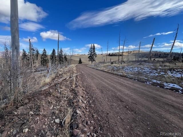 2397 Petito Dr, Fort Garland, CO 81133