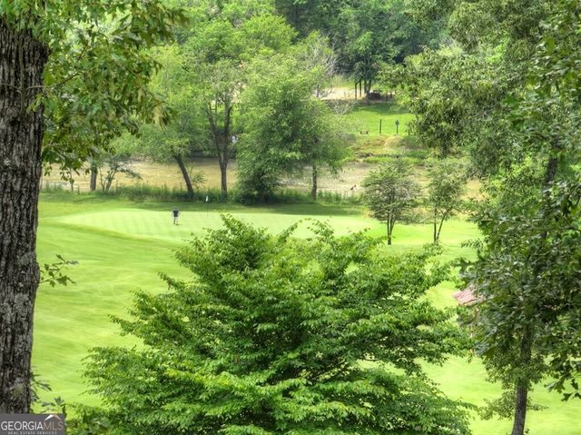 658 Old Toccoa Loop, Mineral Bluff, GA 30559