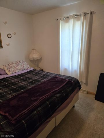 619 S Swift Avenue, Litchfield, MN 55355