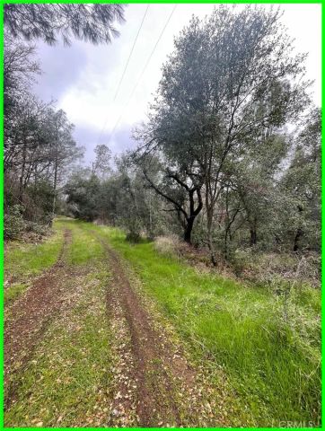 15572 Sharpe, Clearlake, CA 95422