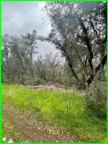 15572 Sharpe, Clearlake, CA 95422