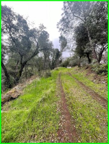 15572 Sharpe, Clearlake, CA 95422