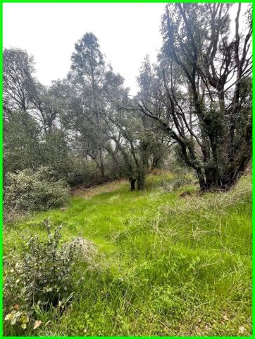 15572 Sharpe, Clearlake, CA 95422