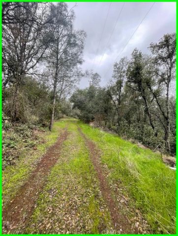 15572 Sharpe, Clearlake, CA 95422