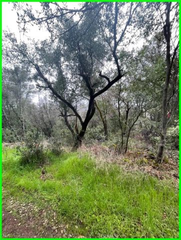 15572 Sharpe, Clearlake, CA 95422