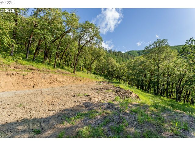 460 HUCKLEBERRY MT Ln, Riddle, OR 97469