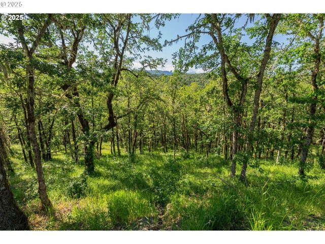 460 HUCKLEBERRY MT Ln, Riddle, OR 97469