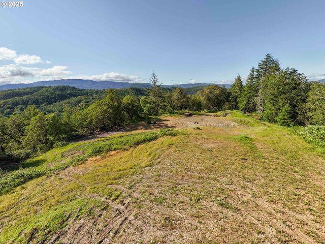 460 HUCKLEBERRY MT Ln, Riddle, OR 97469