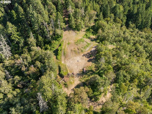460 HUCKLEBERRY MT Ln, Riddle, OR 97469