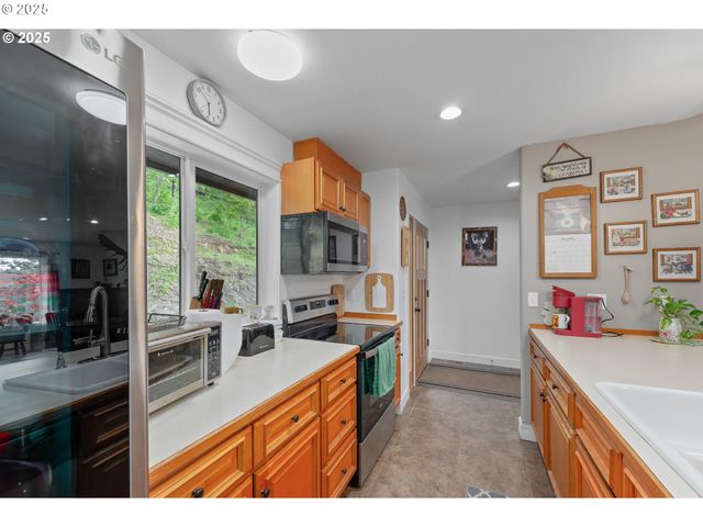 460 HUCKLEBERRY MT Ln, Riddle, OR 97469