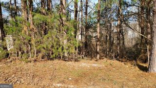 4301 Marci Street, Snellville, GA 30039