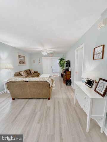 301 BRANCH WAY, Millsboro, DE 19966