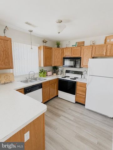 301 BRANCH WAY, Millsboro, DE 19966