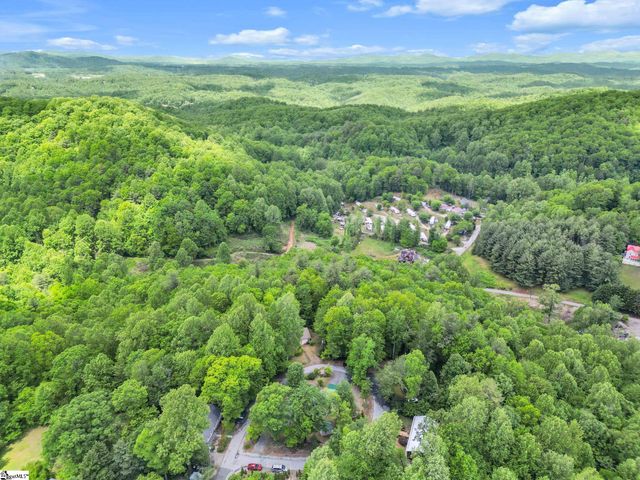 189 Friendly Circle, Saluda, NC 28773