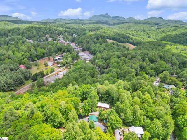 189 Friendly Circle, Saluda, NC 28773