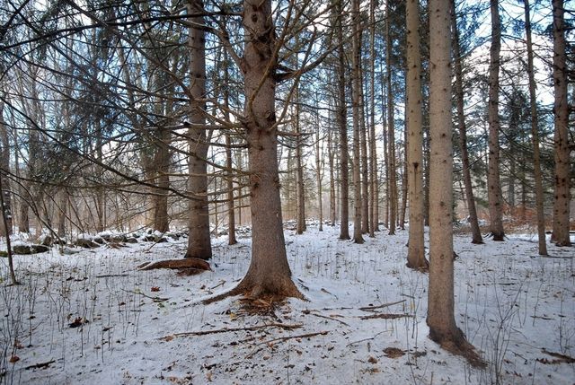 41 Liberty Street, Acton, MA 01720