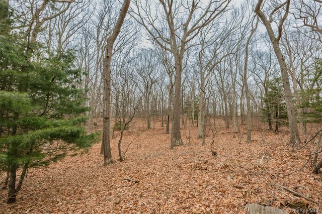 31 Country Lane Drive, Kings Park, NY 11754