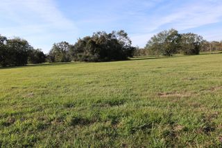 331 Green Pasture Court, Angleton, TX 77515