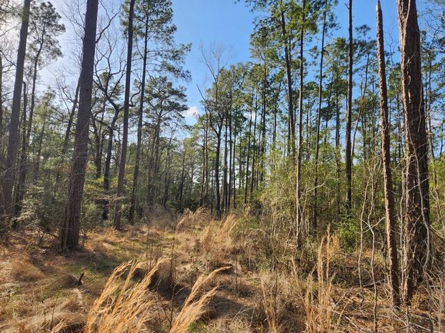 1037 Counts Rd, Point Blank, TX 77364