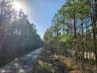 1037 Counts Rd, Point Blank, TX 77364