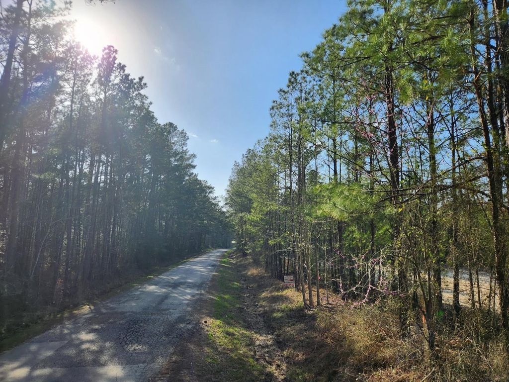 1037 Counts Rd, Point Blank, TX 77364