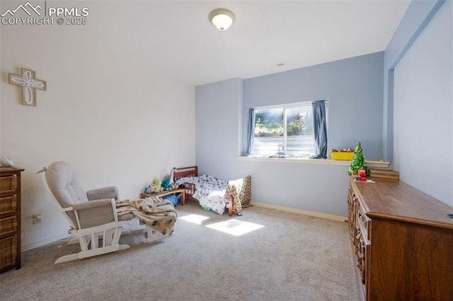 516 Saguache Drive, Florissant, CO 80816