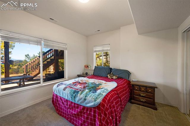 516 Saguache Drive, Florissant, CO 80816